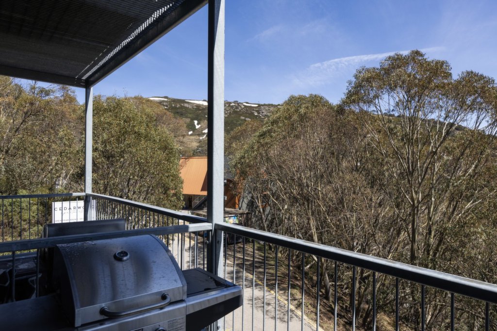 4/11 Schuss Street, Falls Creek - Thumbnail 7