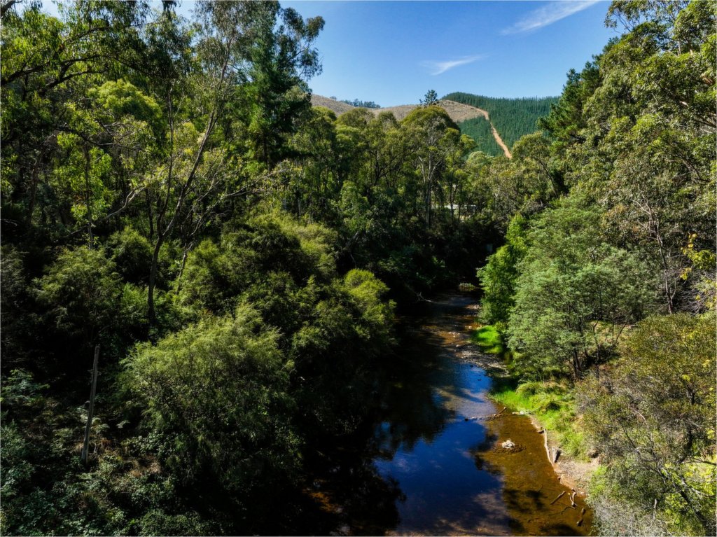 5 Kinchela Court, Bright - Thumbnail 7