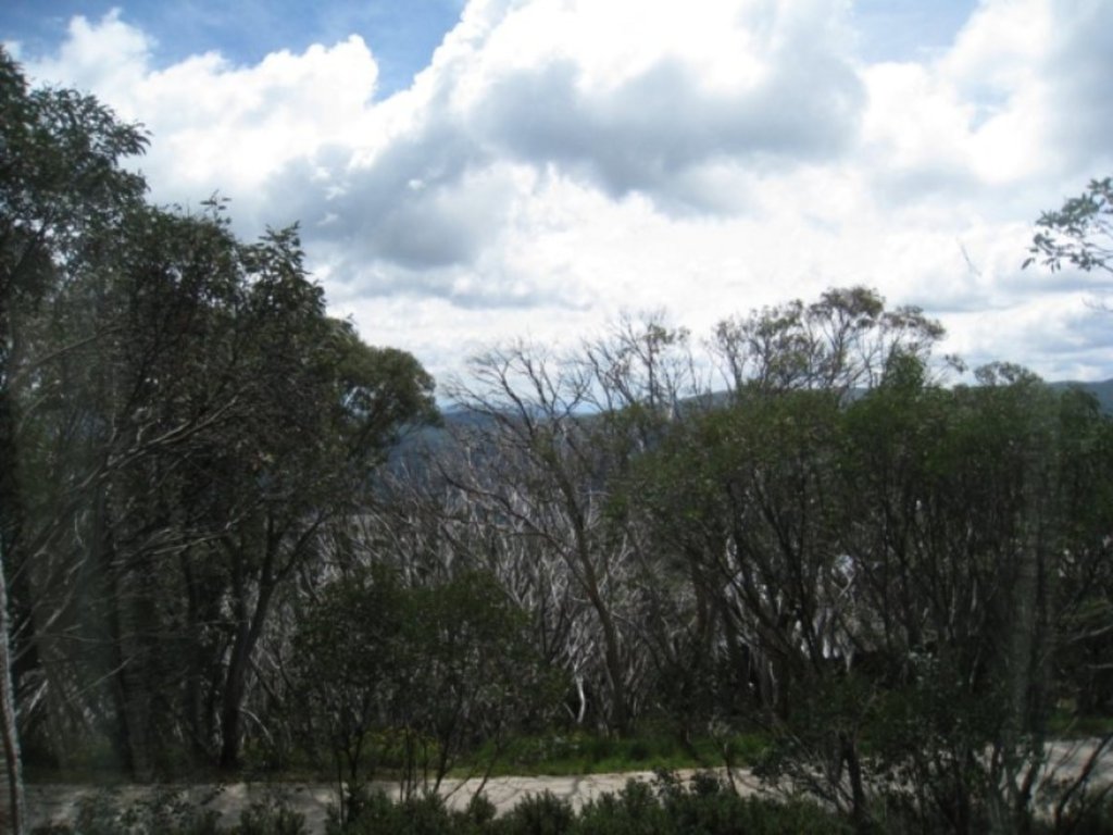 8/143 Delatite Lan, Mount Buller - Image 1