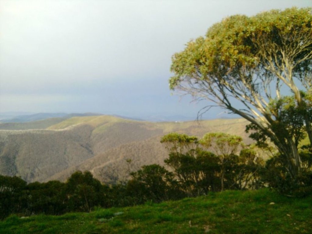 9 Alpine Heights, Mount Hotham - Thumbnail 8