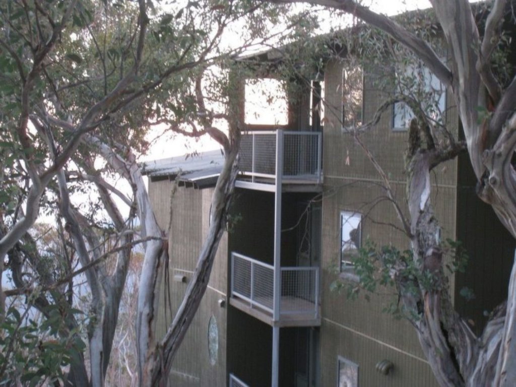 16/10 Chamois Road, Mount Buller - Thumbnail 3