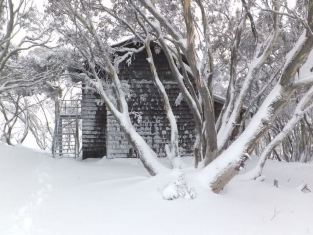 1 Ettamogah Alpine Lodge, Mount Hotham - Thumbnail 3