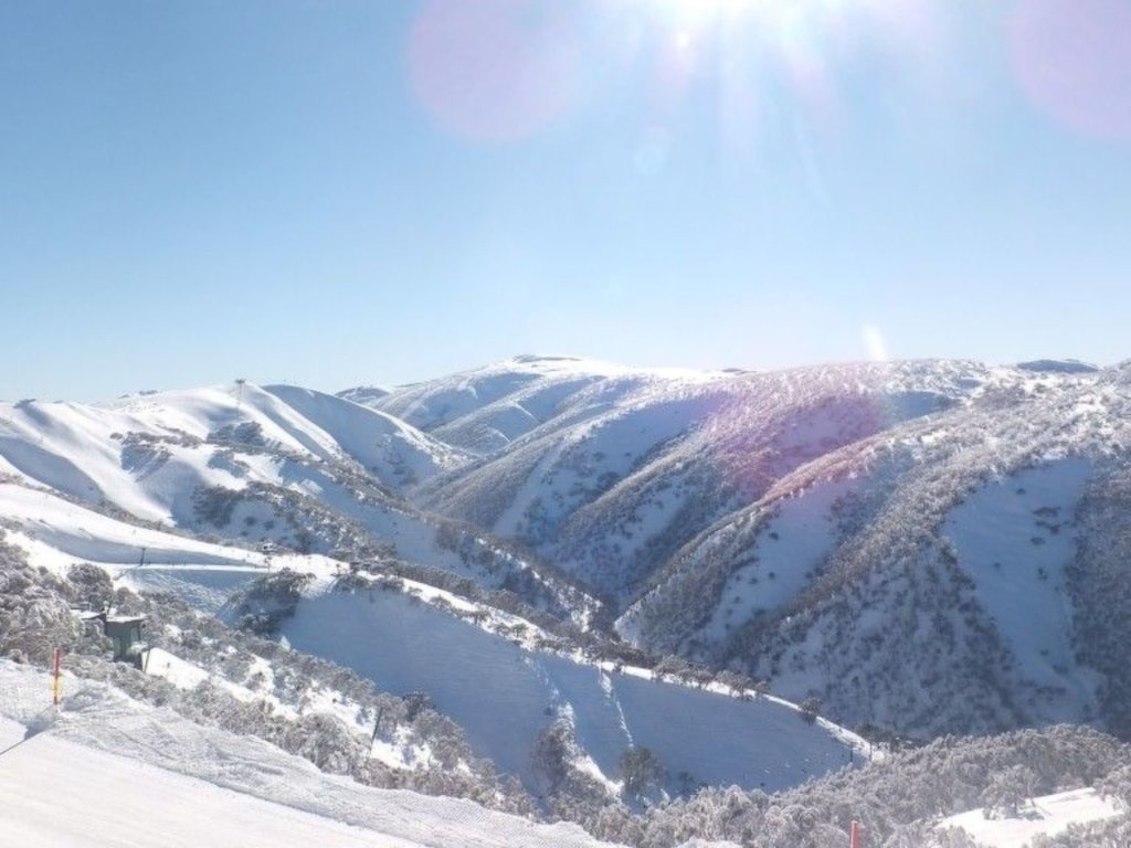 319 Arlberg, Mount Hotham - Thumbnail 7