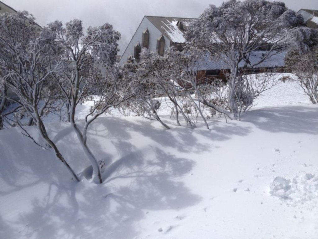 2 Razorback, Mount Hotham - Thumbnail 5
