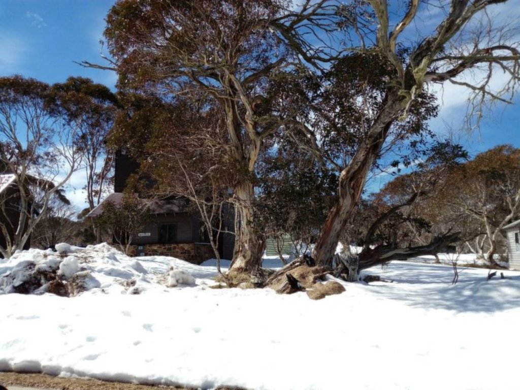 Lot 16, 1 Sugarmat Lane, Dinner Plain - Thumbnail 2