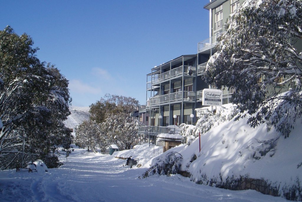 17/11 Schuss Street Street, Falls Creek - Thumbnail 3