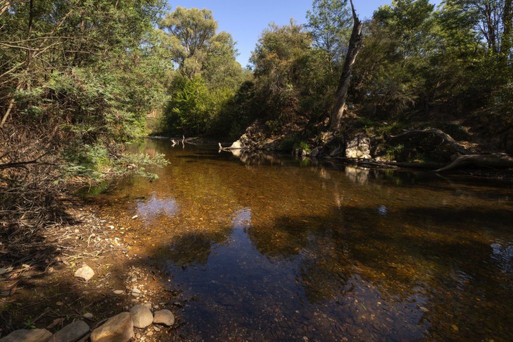 7045 Great Alpine Road, Porepunkah - Thumbnail 6